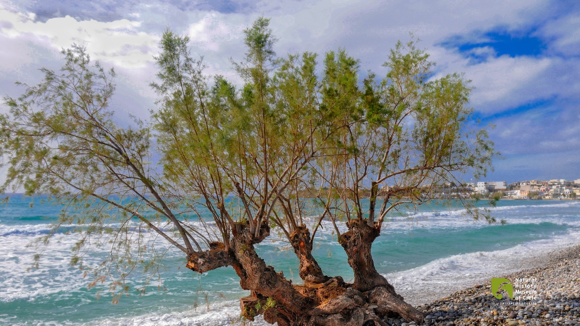 discover crete