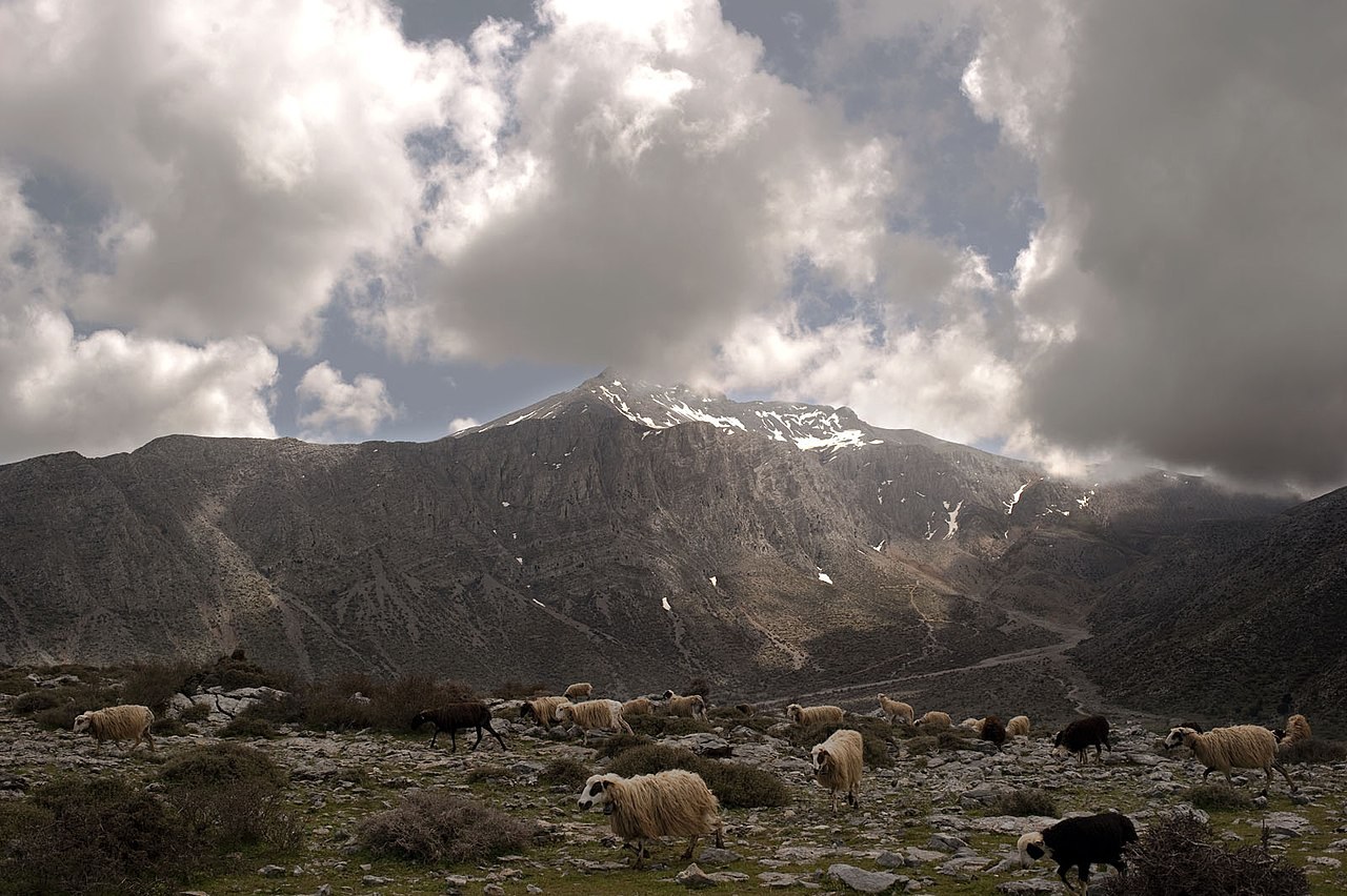 discover crete