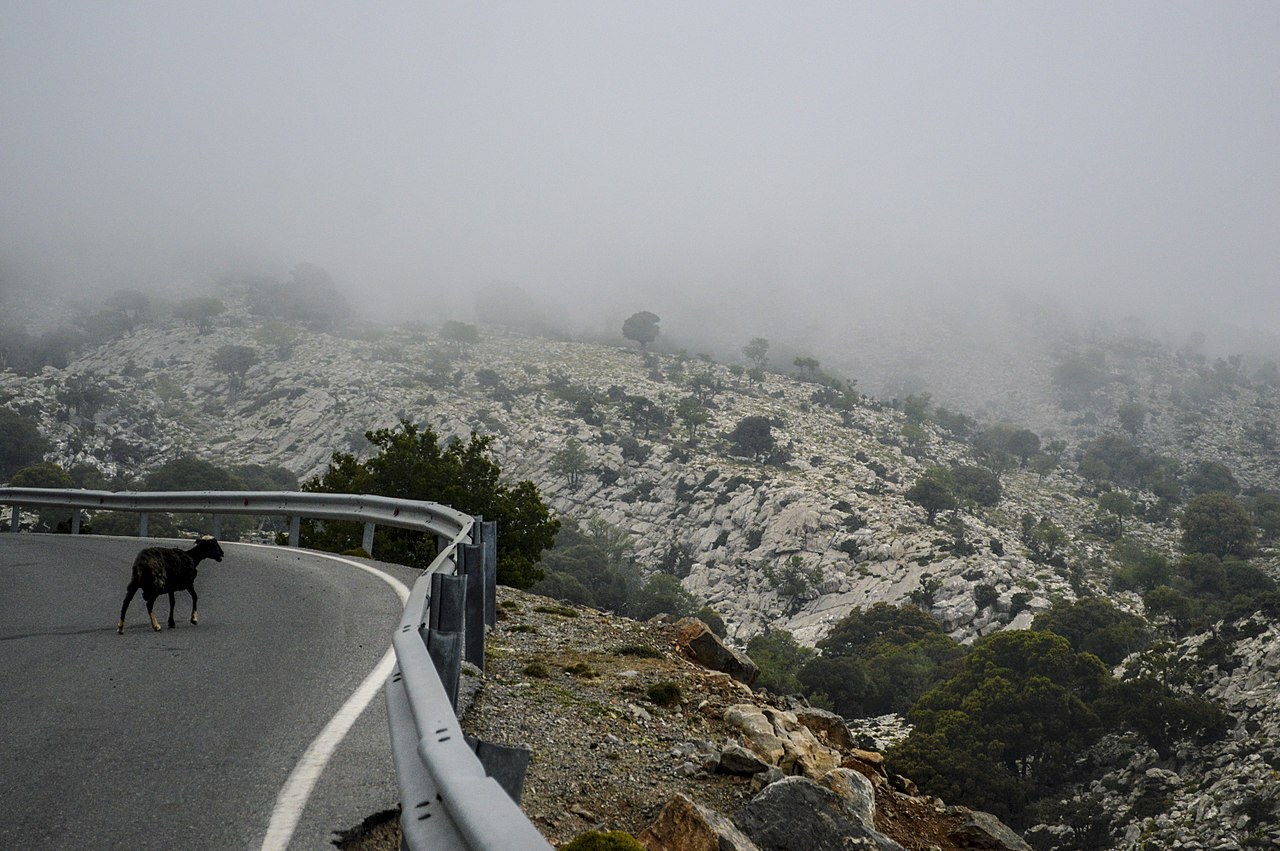 discover crete