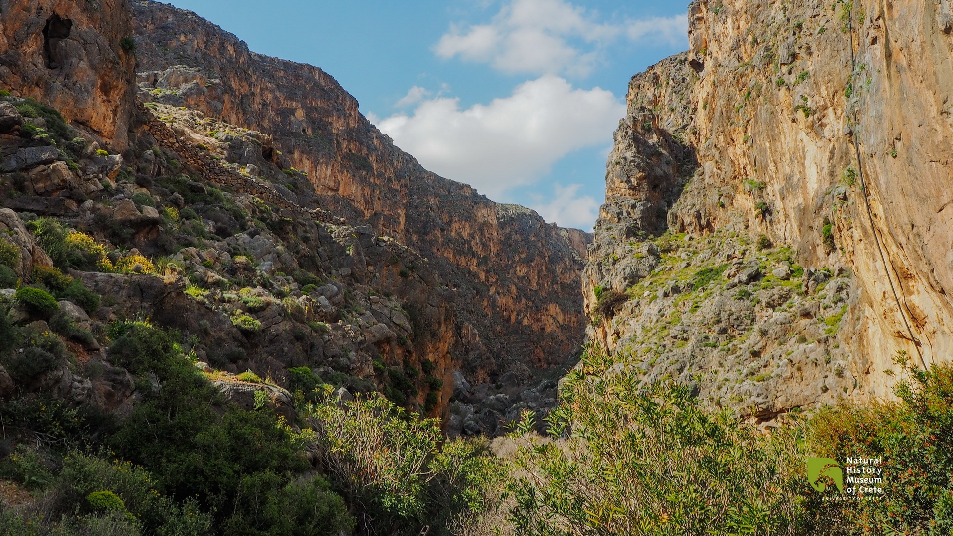 6 Family-Friendly Gorges in Lassithi for Easy Exploration
