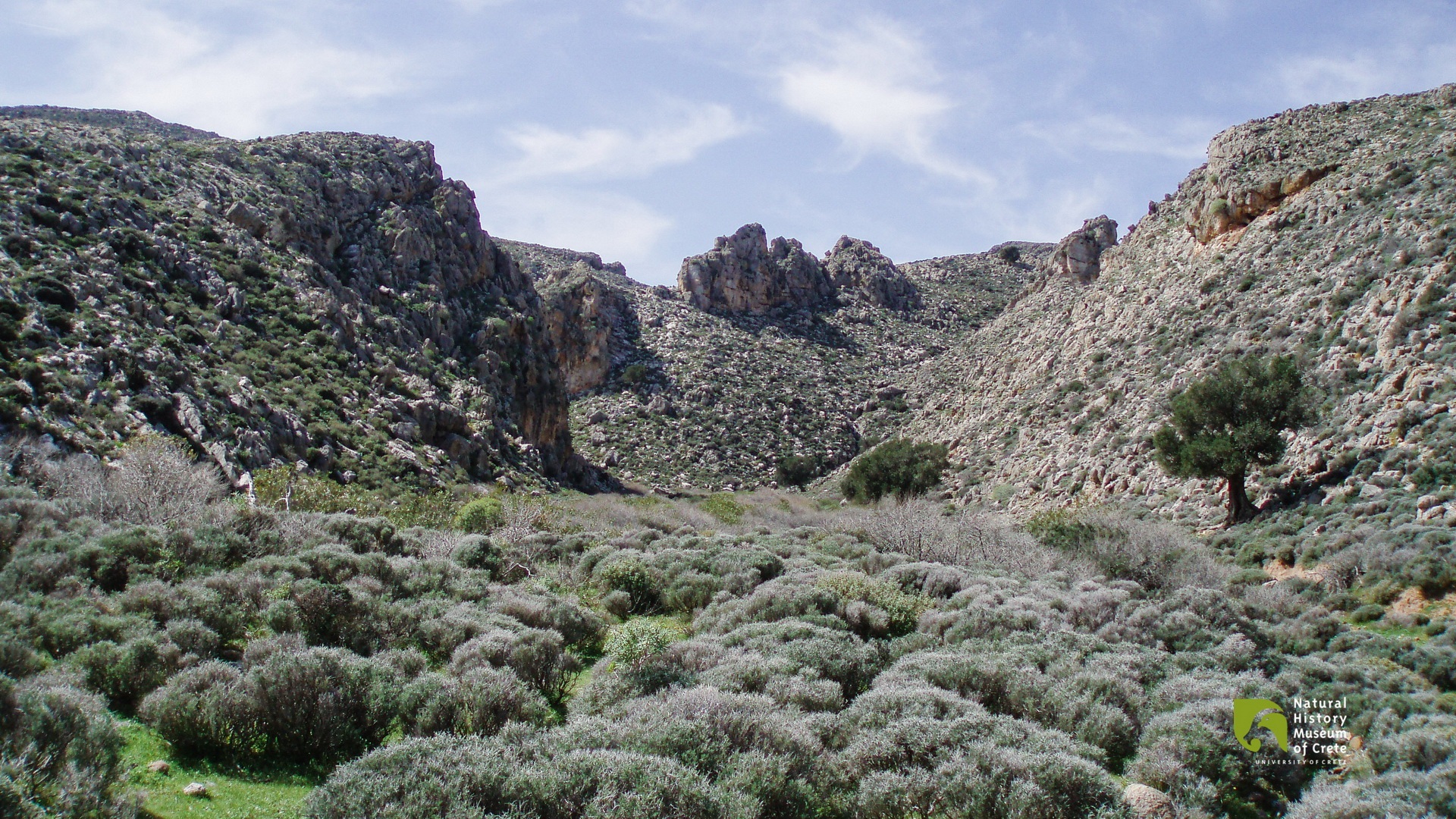 Chochlakies Gorge