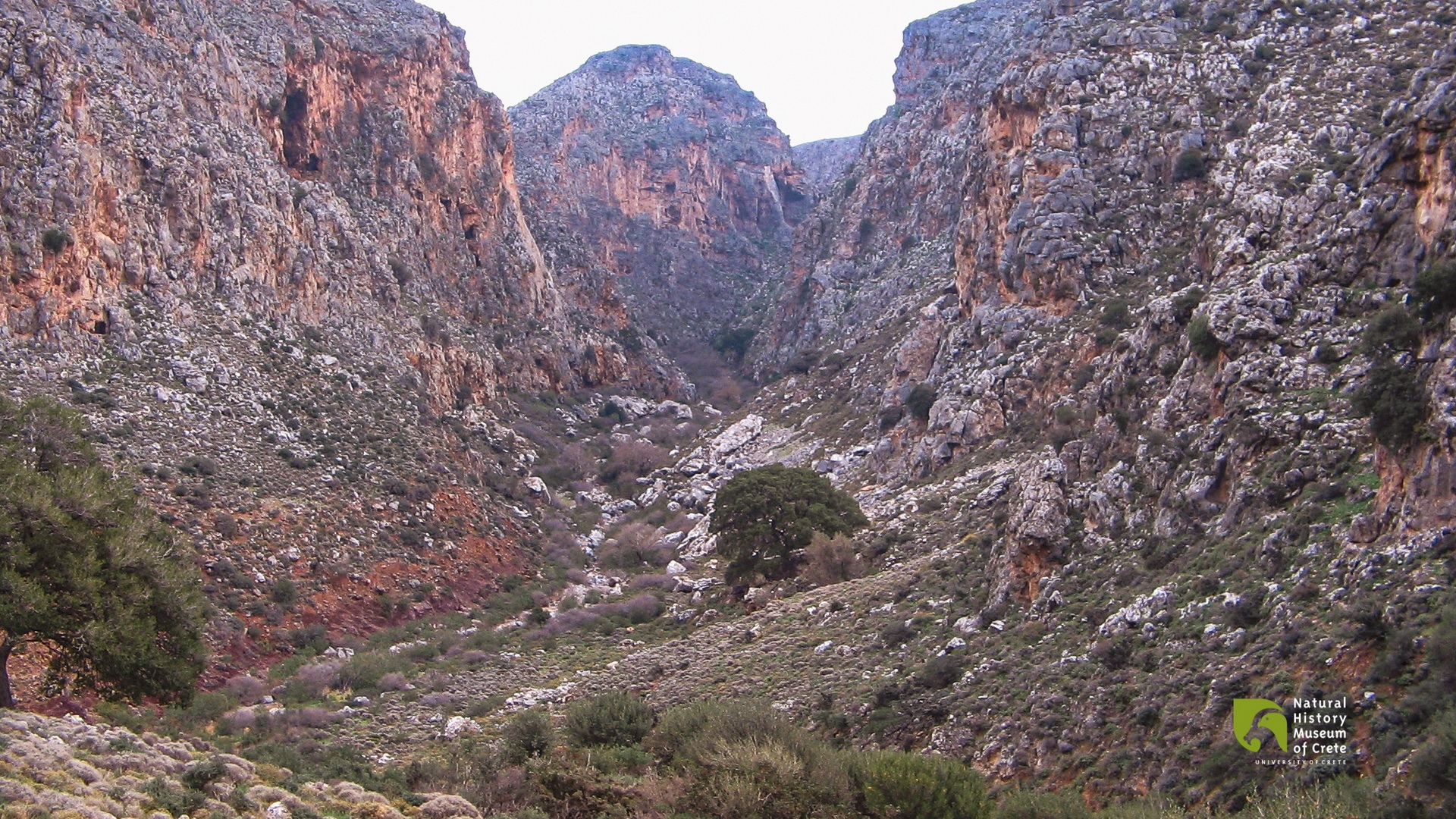 9 Gorges of Lassithi and Their Intriguing History