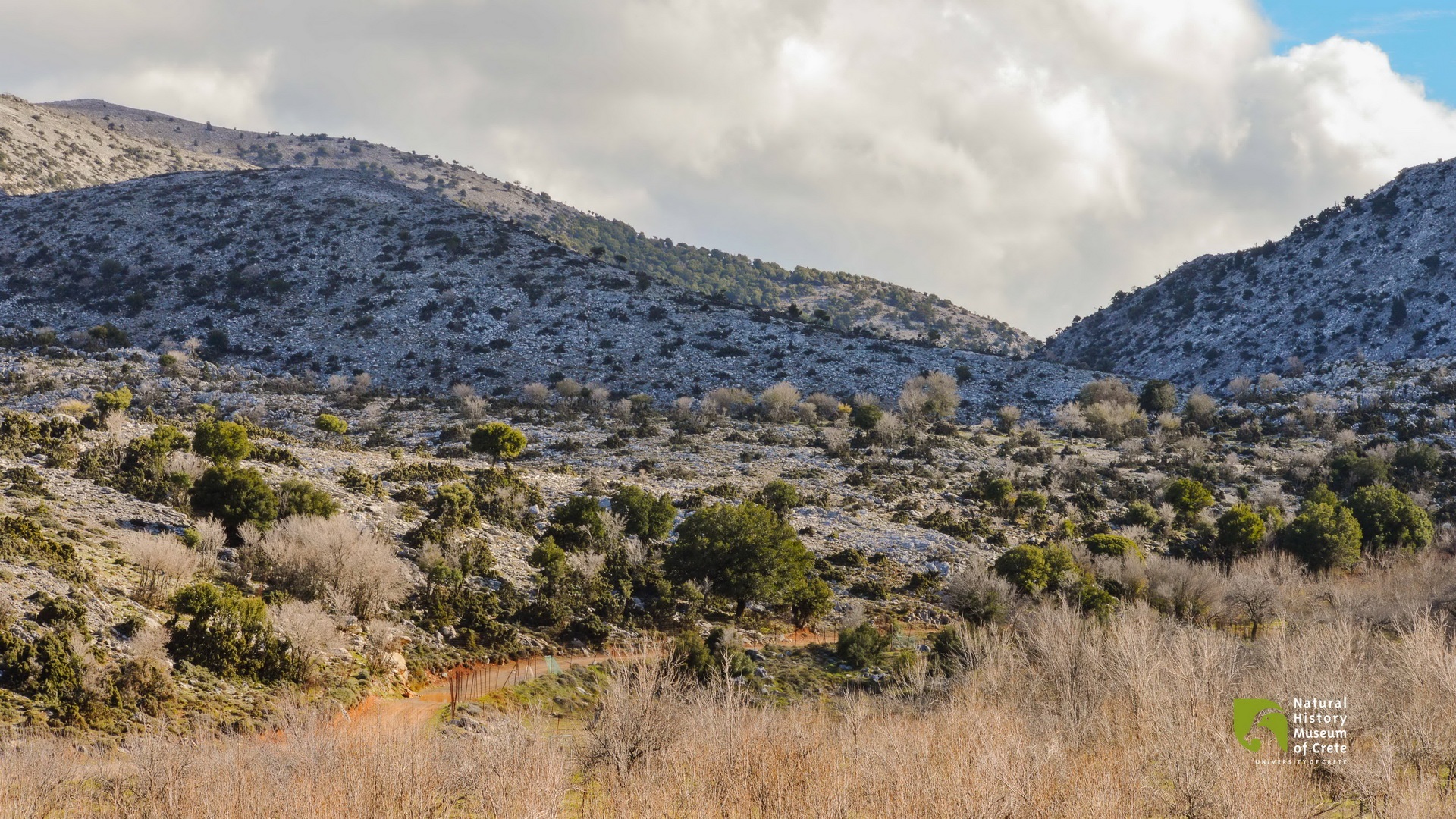 discover crete