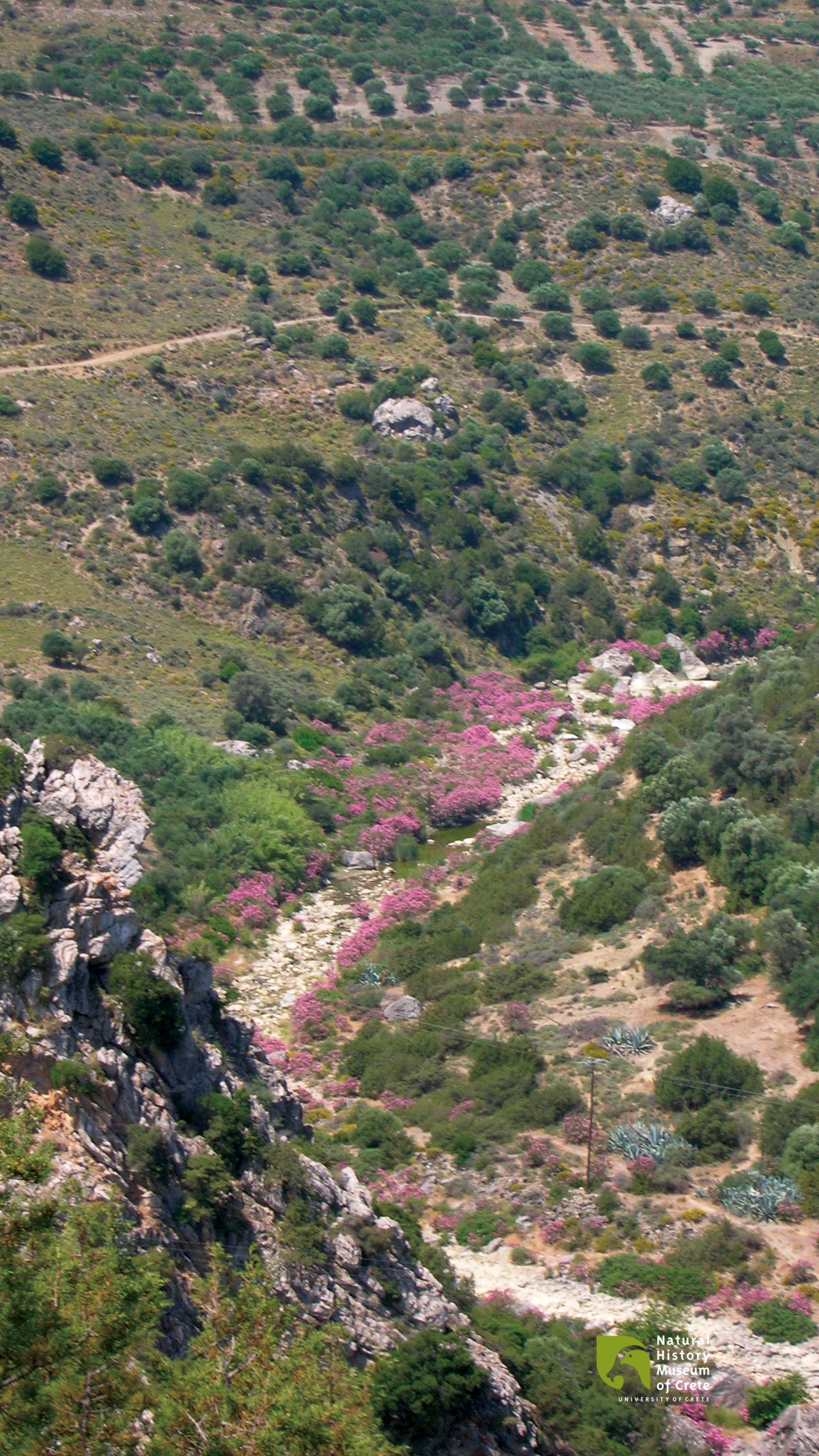 discover crete