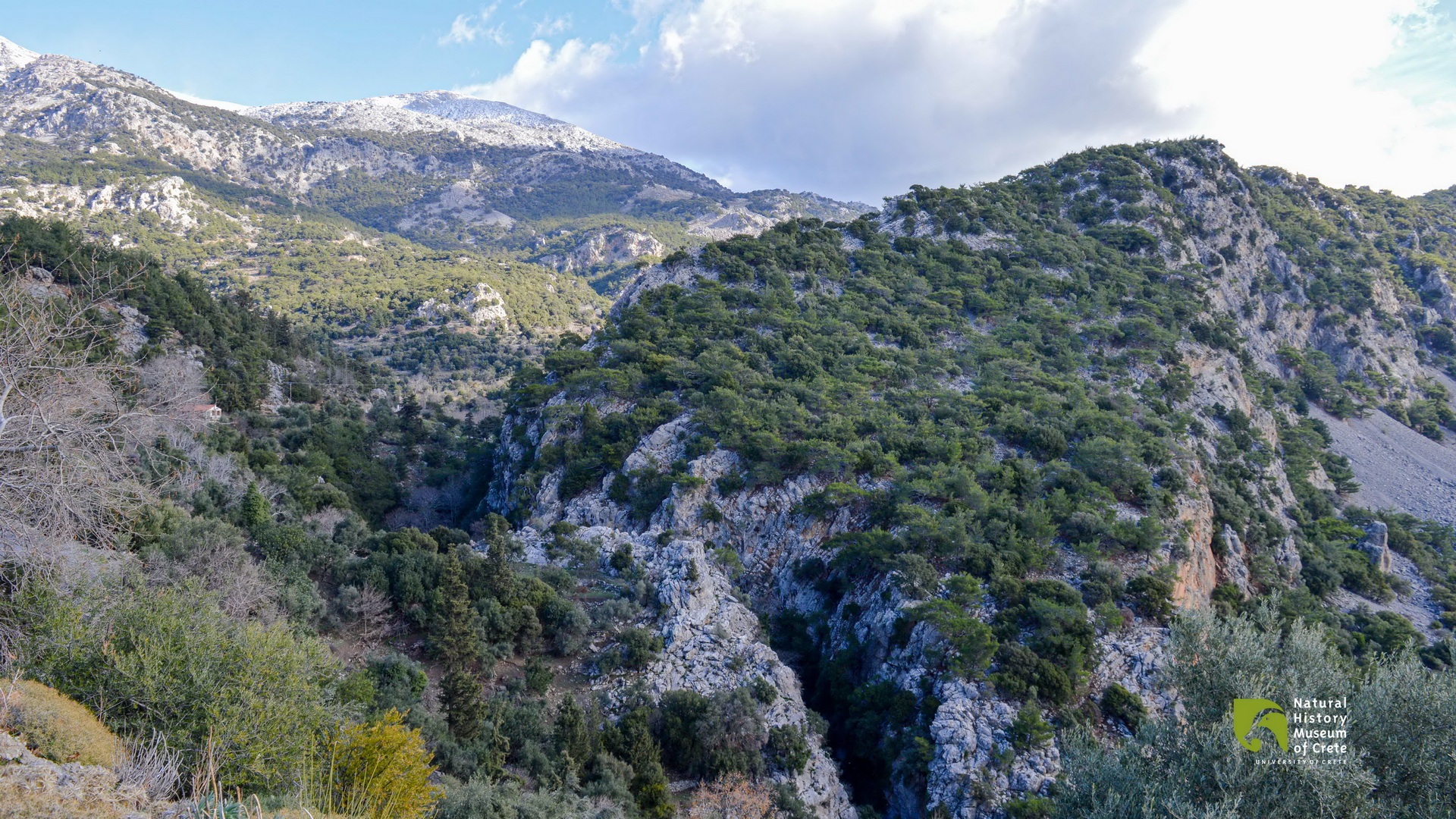 7 Must-Visit Gorges in Sitia