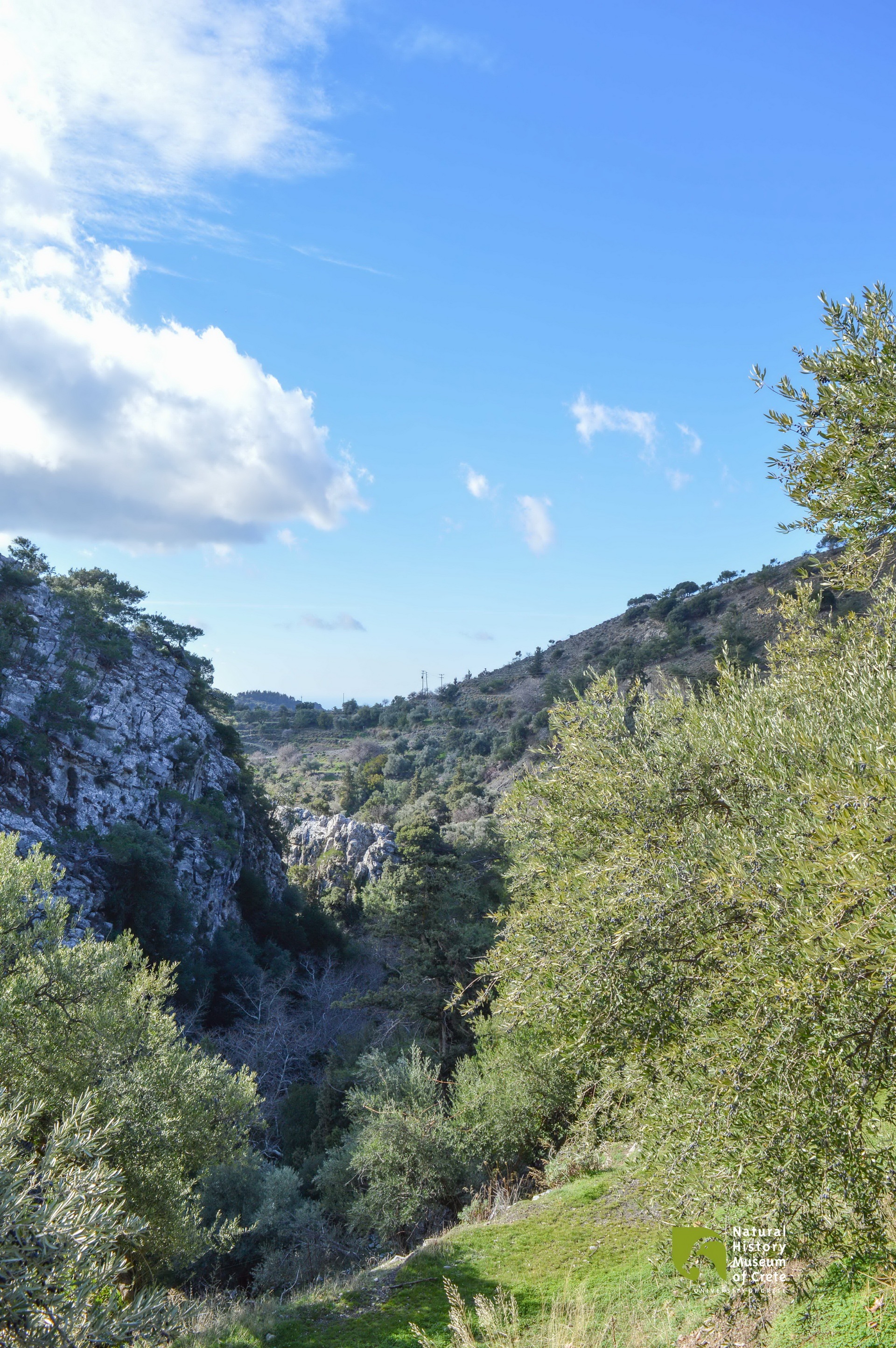 discover crete