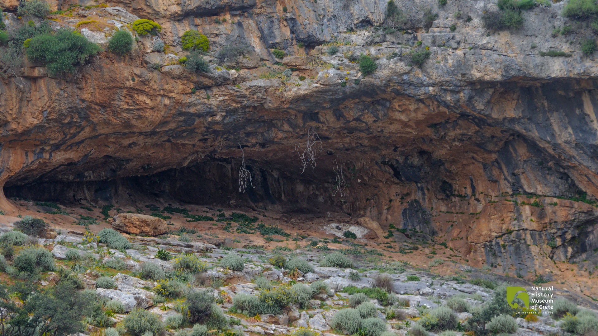 discover crete