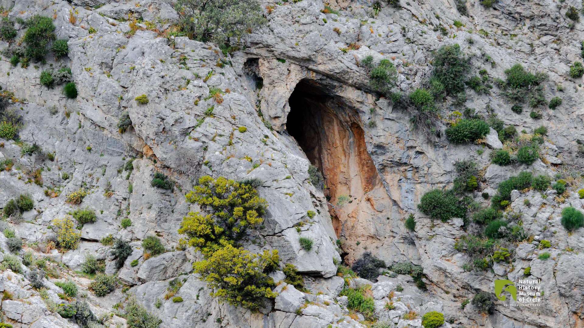 discover crete
