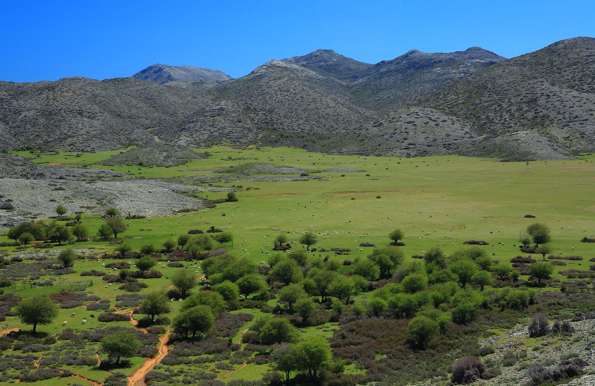 discover crete