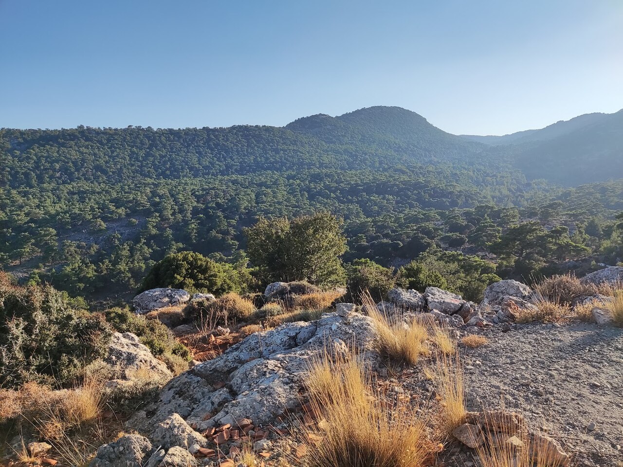 discover crete