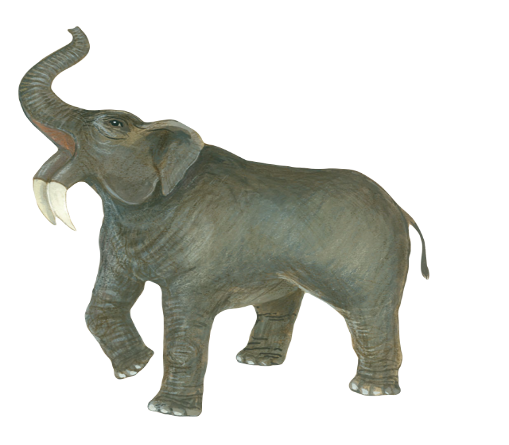 Deinotherium giganteum