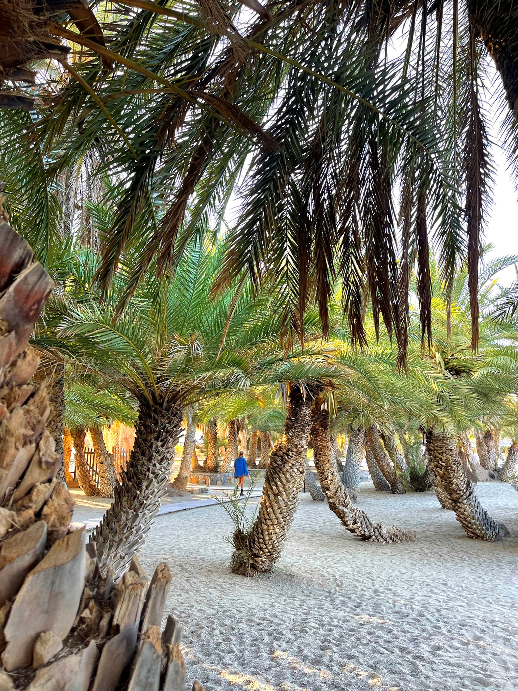 Discover the Enchanting Vai!