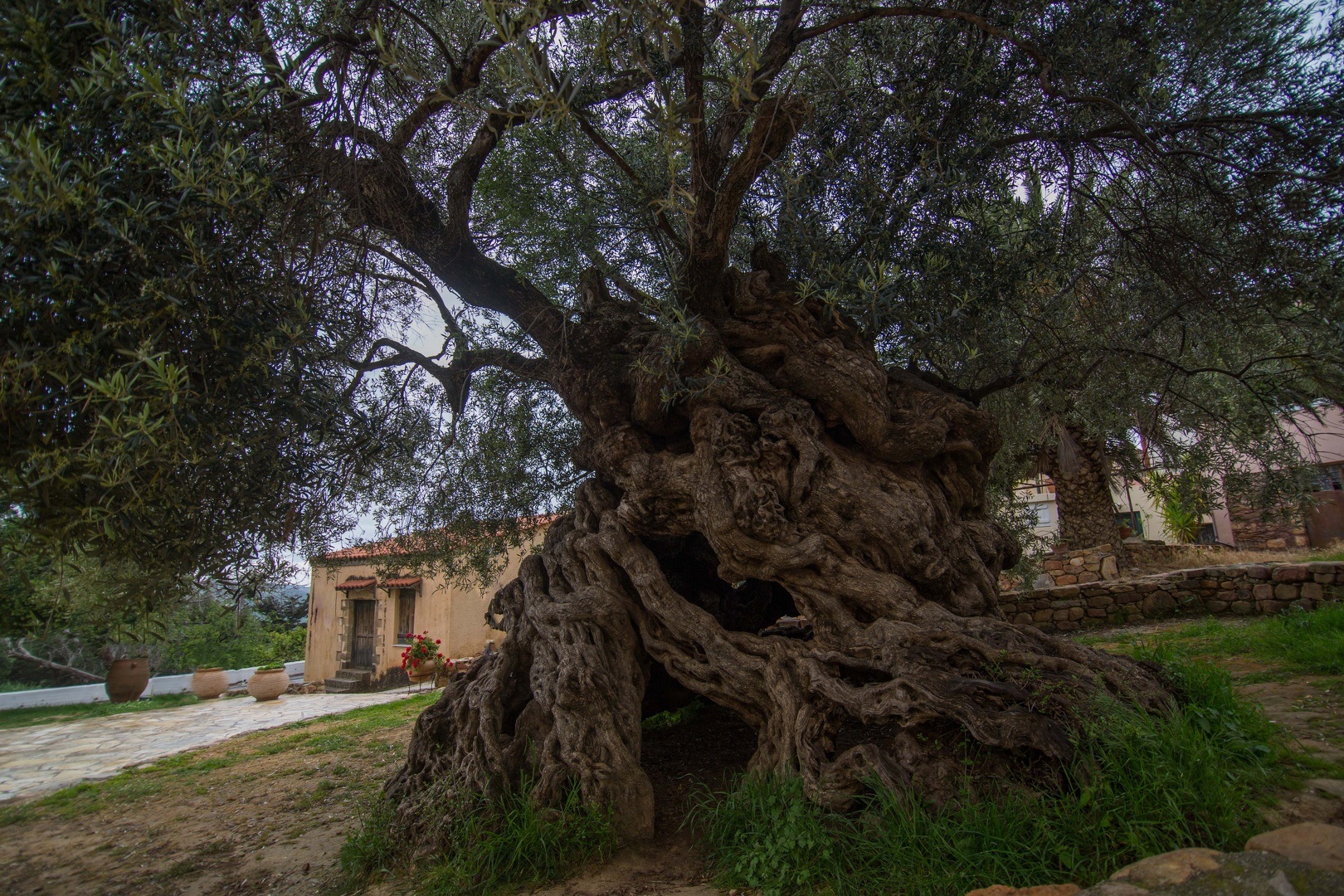 discover crete