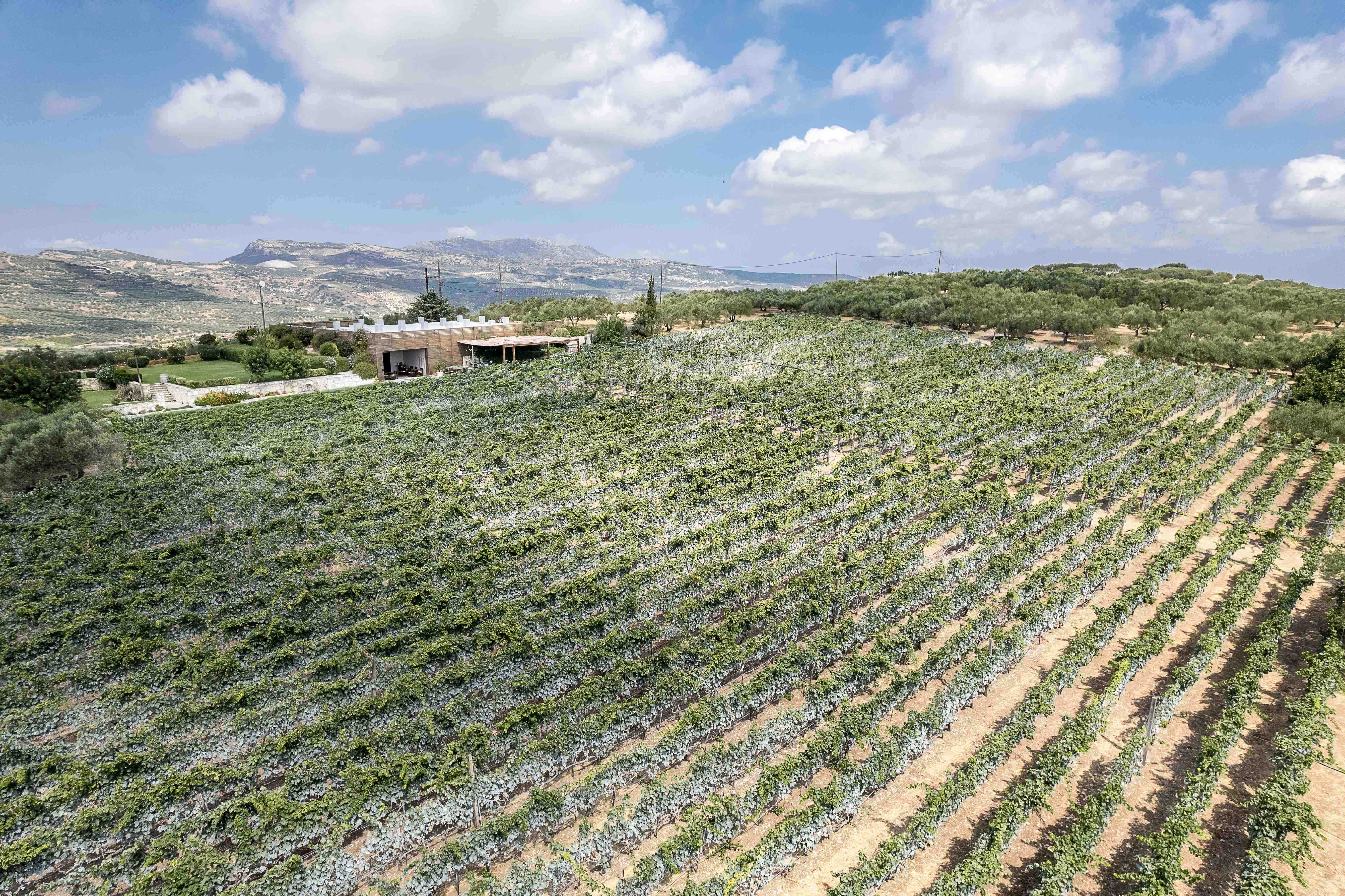 discover crete