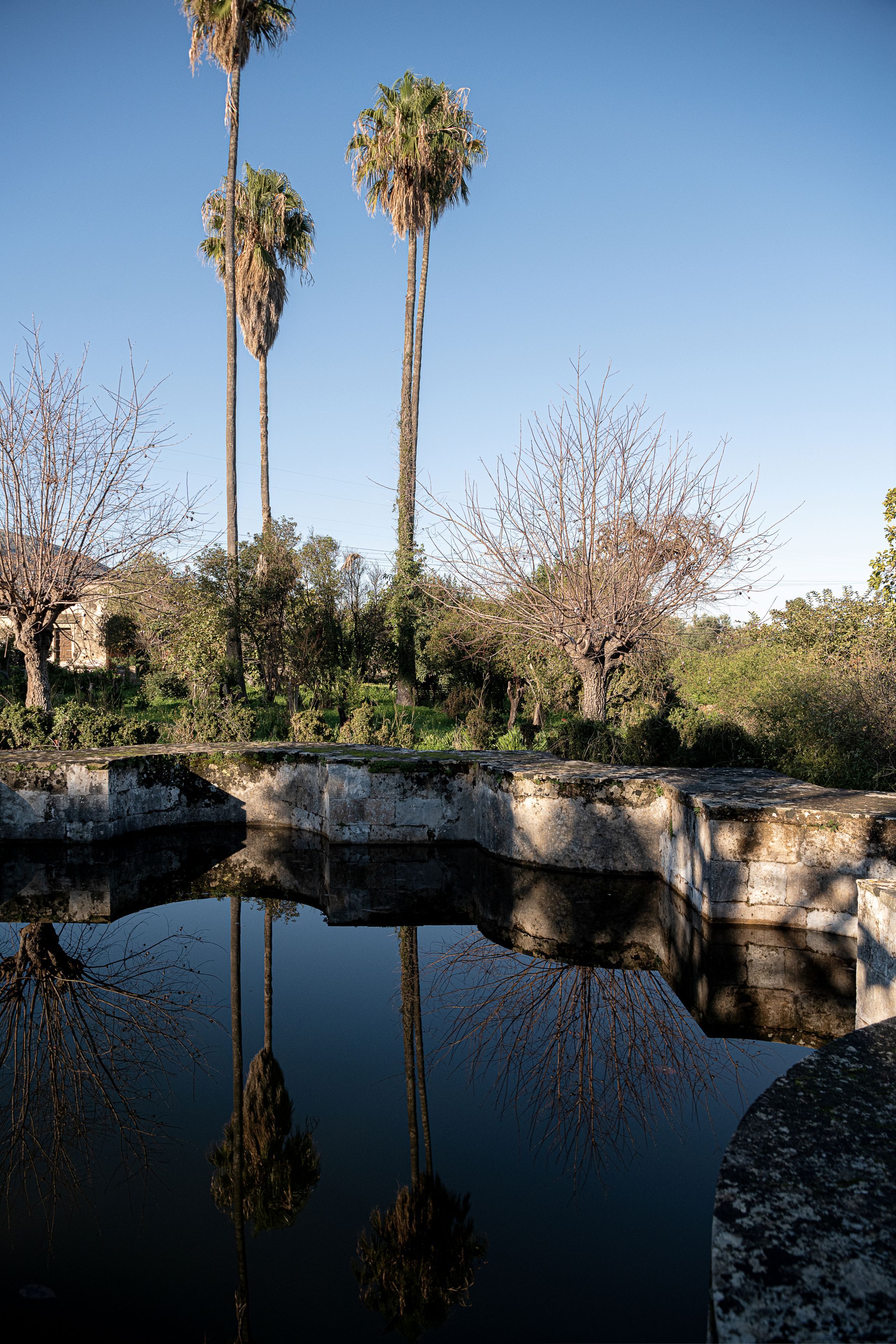 discover crete