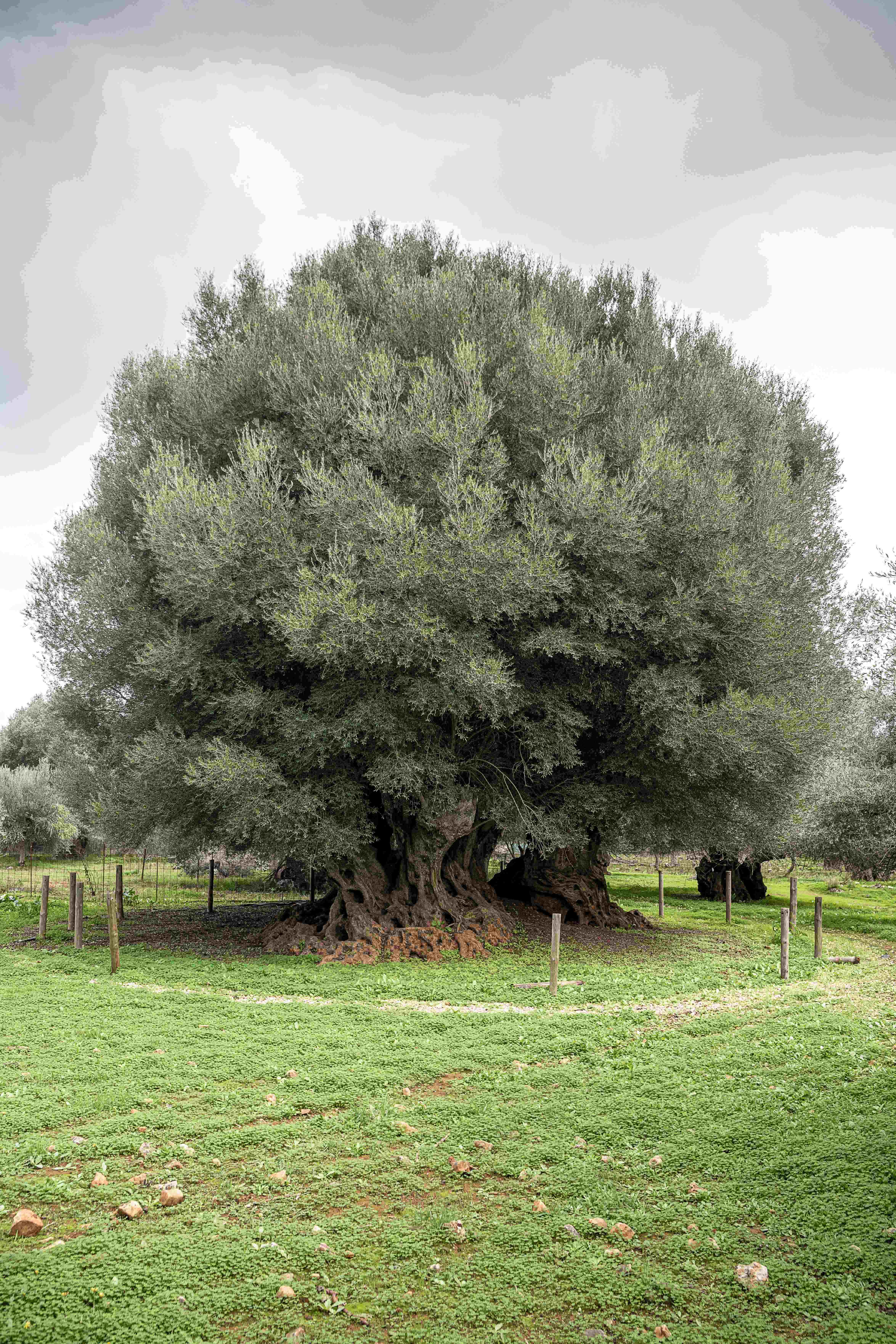 discover crete