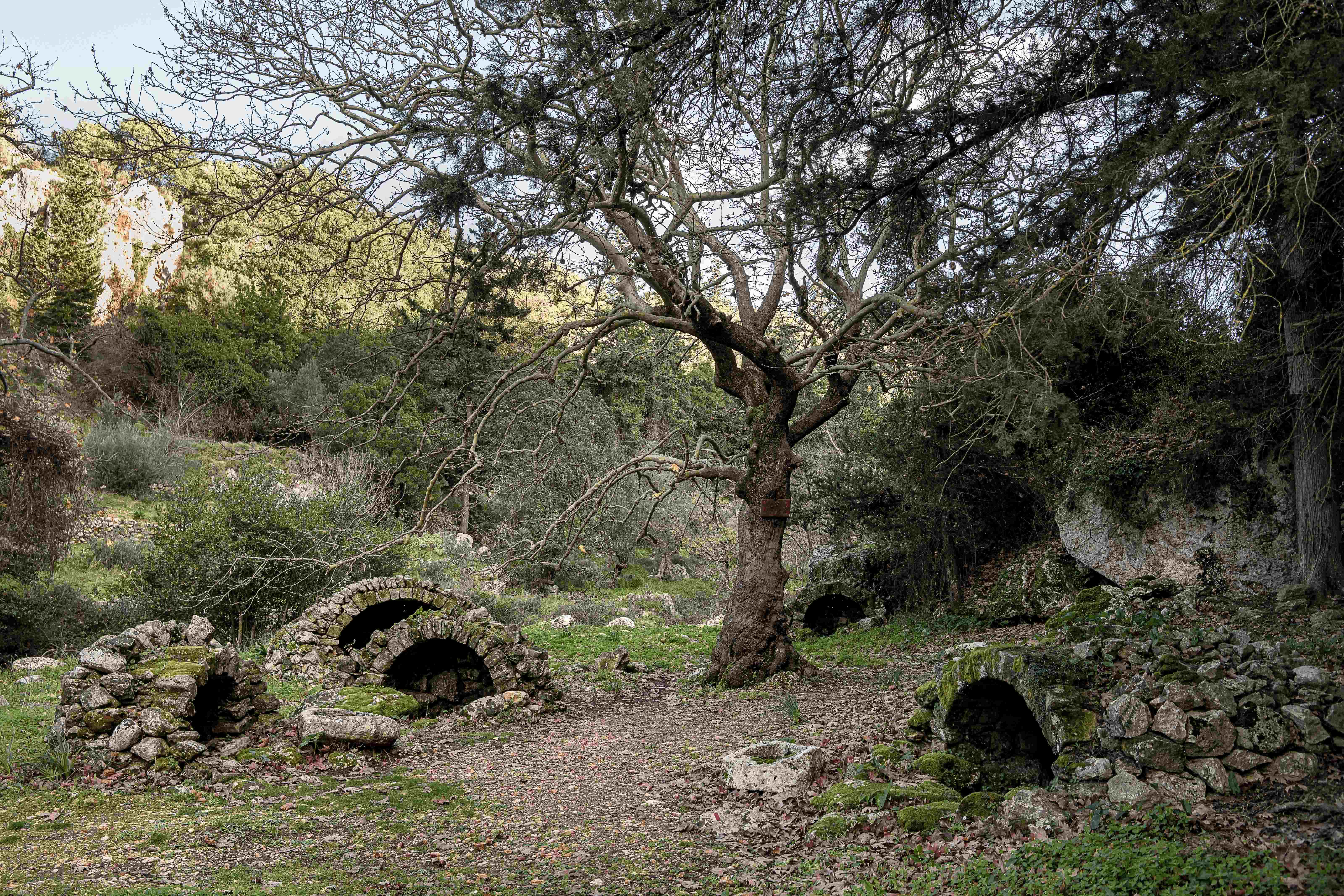 Exploring Creta: Μία βόλτα στα χωριά του Αποκόρωνα!