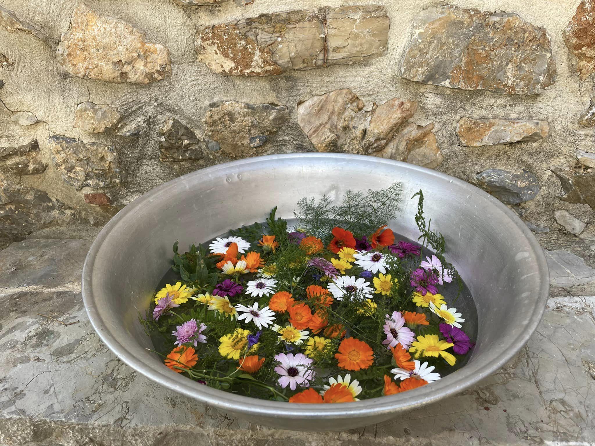 Dyeing Easter Eggs with Madder Root and Flower Blossoms
