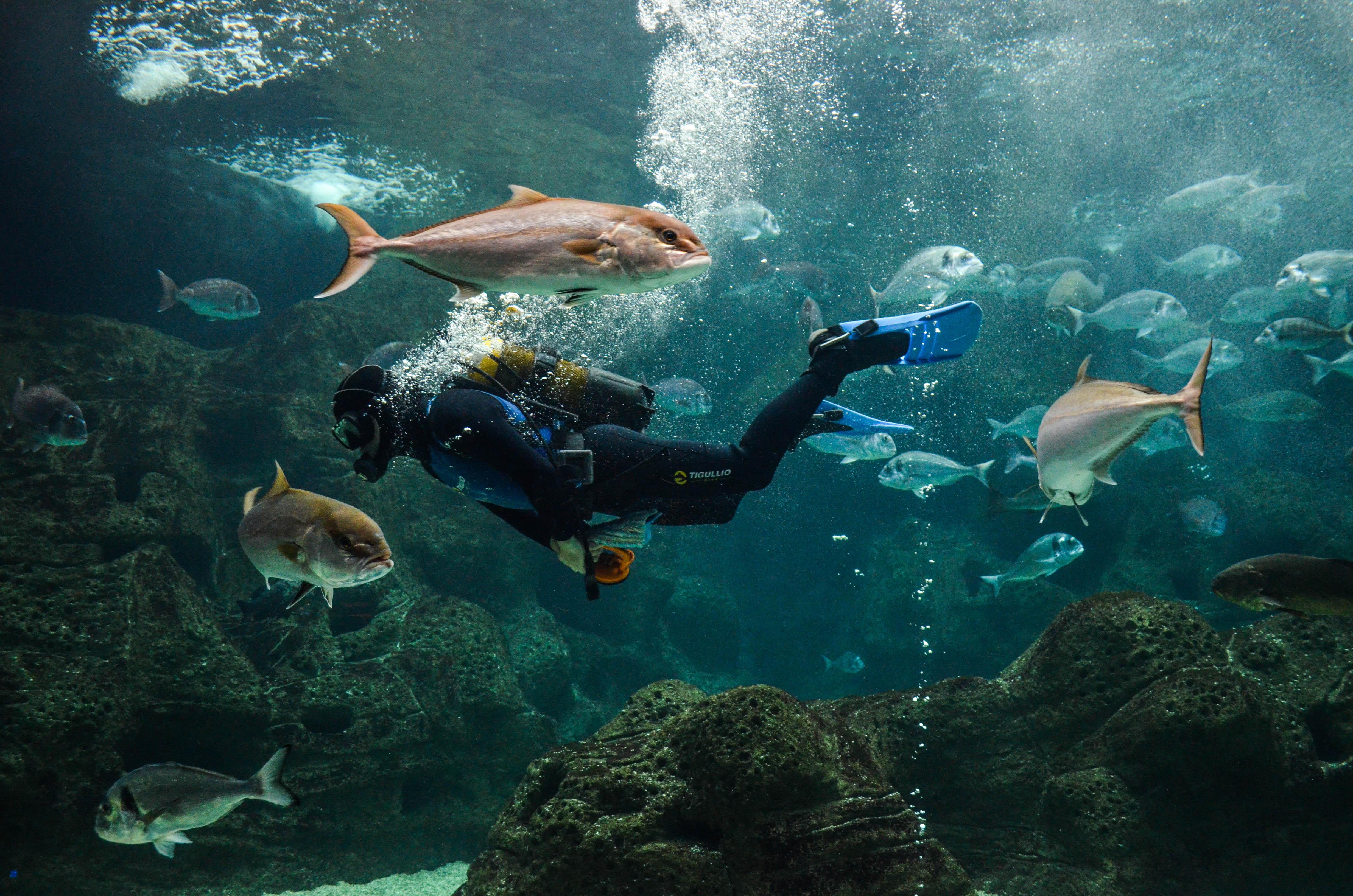 Podcast: Eyes on the Depths of the Mediterranean!