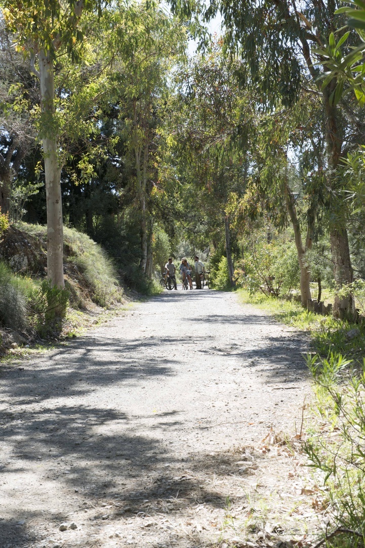 Exploring Creta: The Sarakinas Cycling Trails