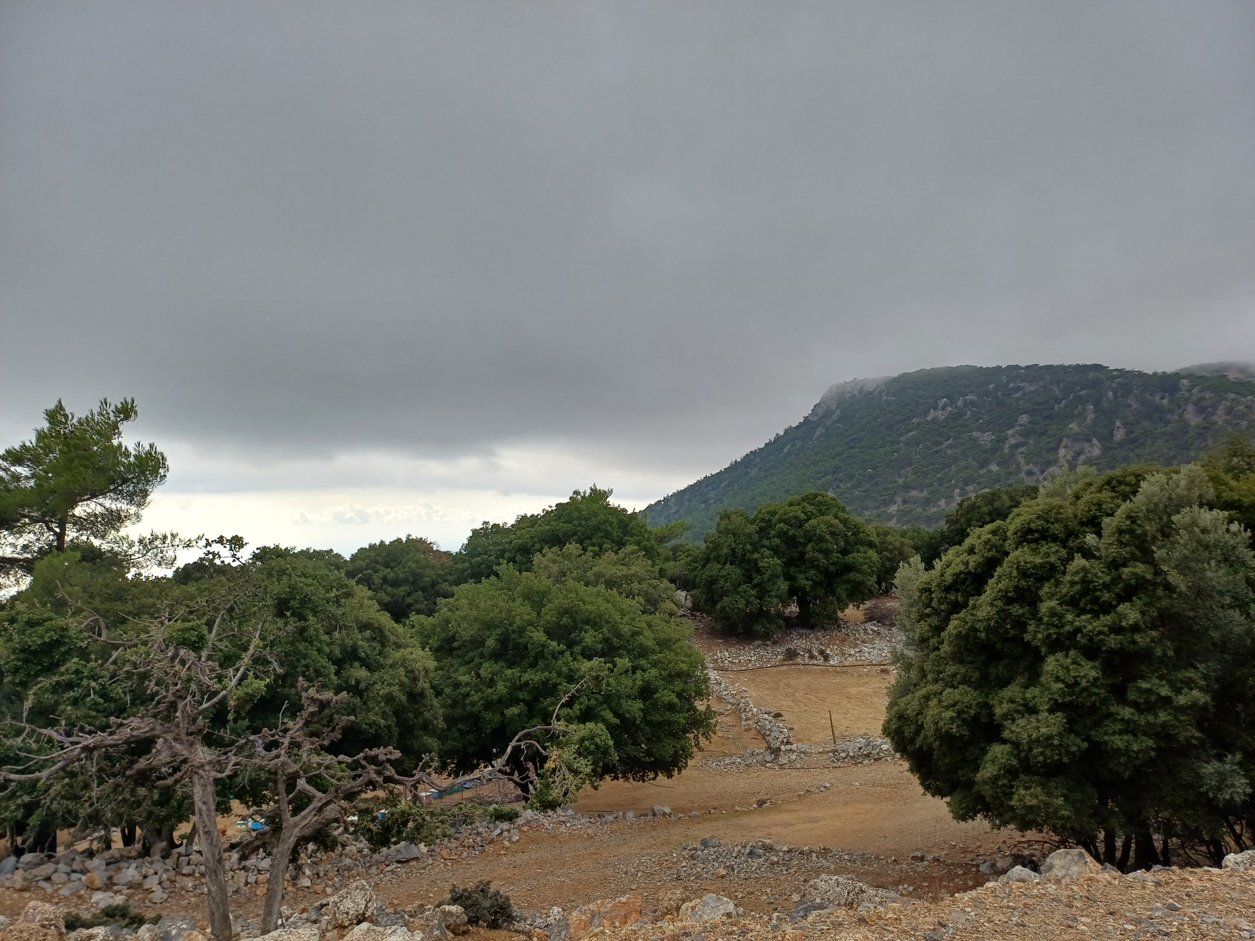 discover crete
