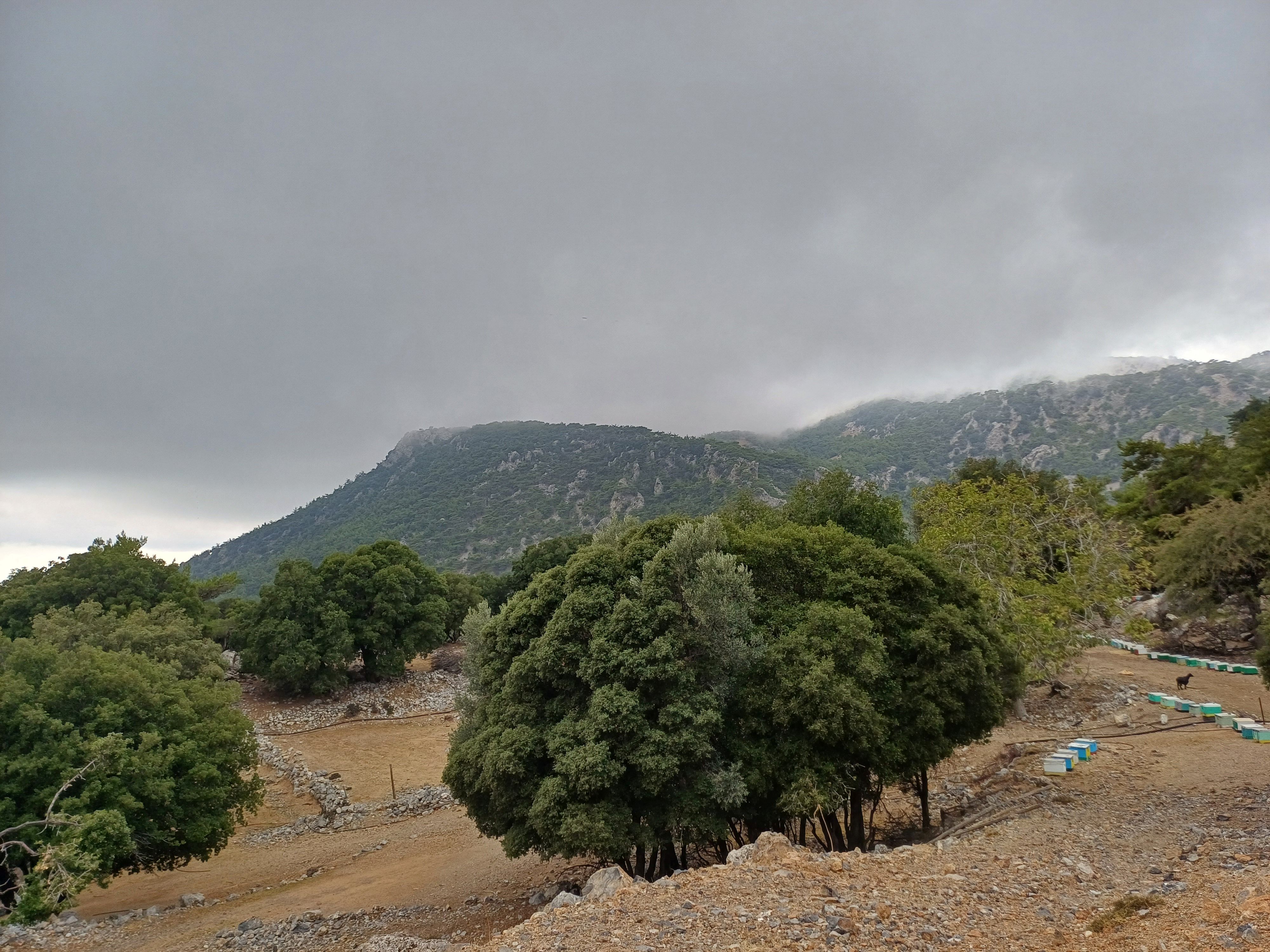 discover crete