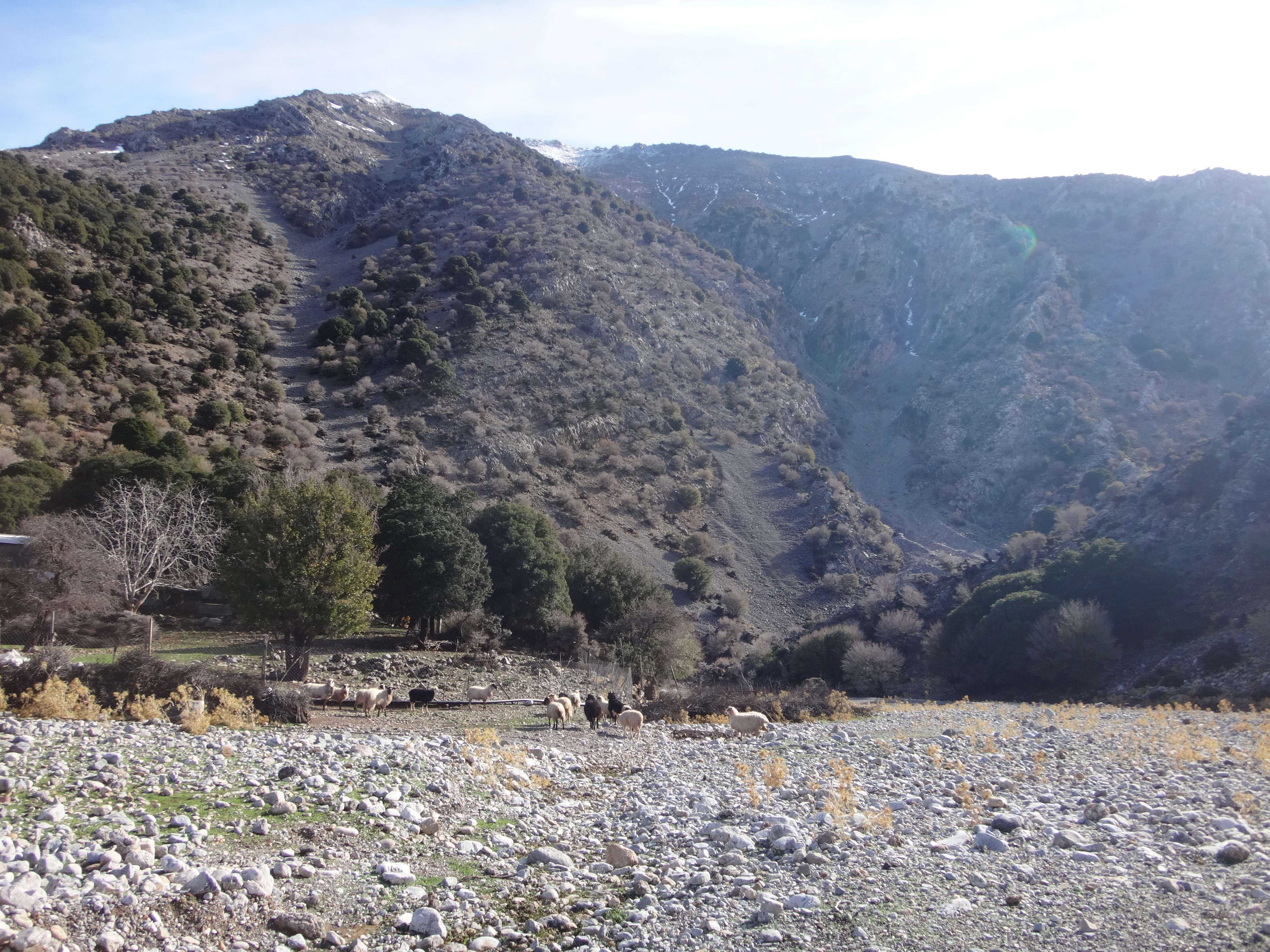 Canyoning στο φαράγγι Εργάνου