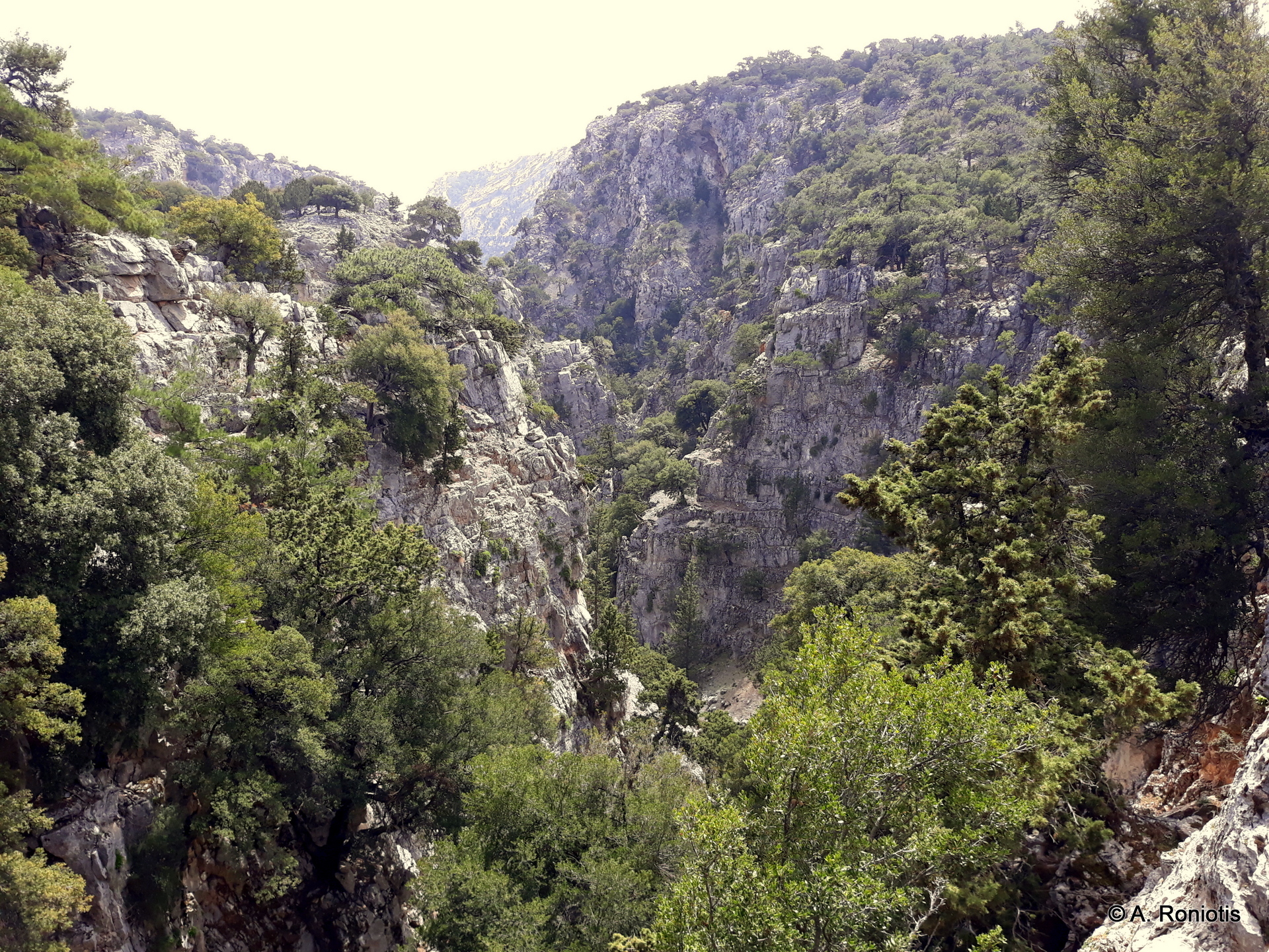 Εξόρμηση σε φαράγγι του Παρσά- Μεταξοχώρι- Σελάκανο- Χριστός