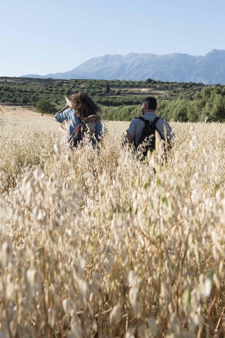 Exploring Creta: Hiking from Sougia to Lissos
