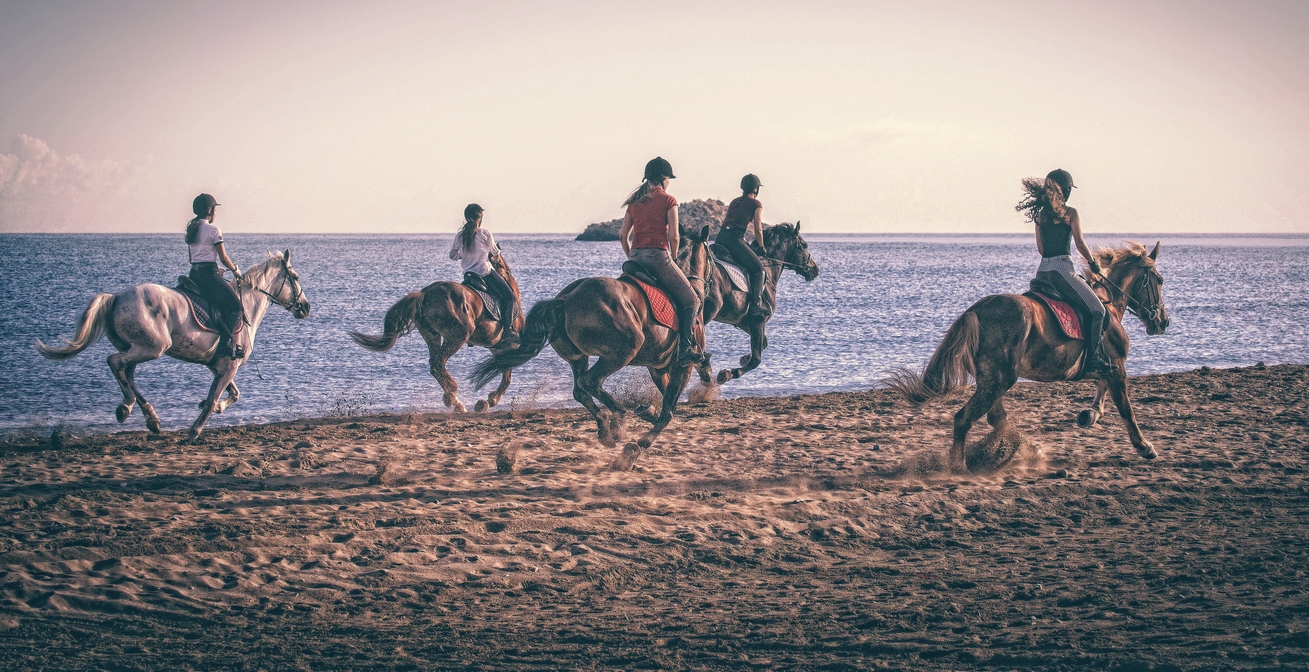 Amnisiades Park: Ιππασία στην ακρογιαλιά, μια αξέχαστη περιπέτεια!