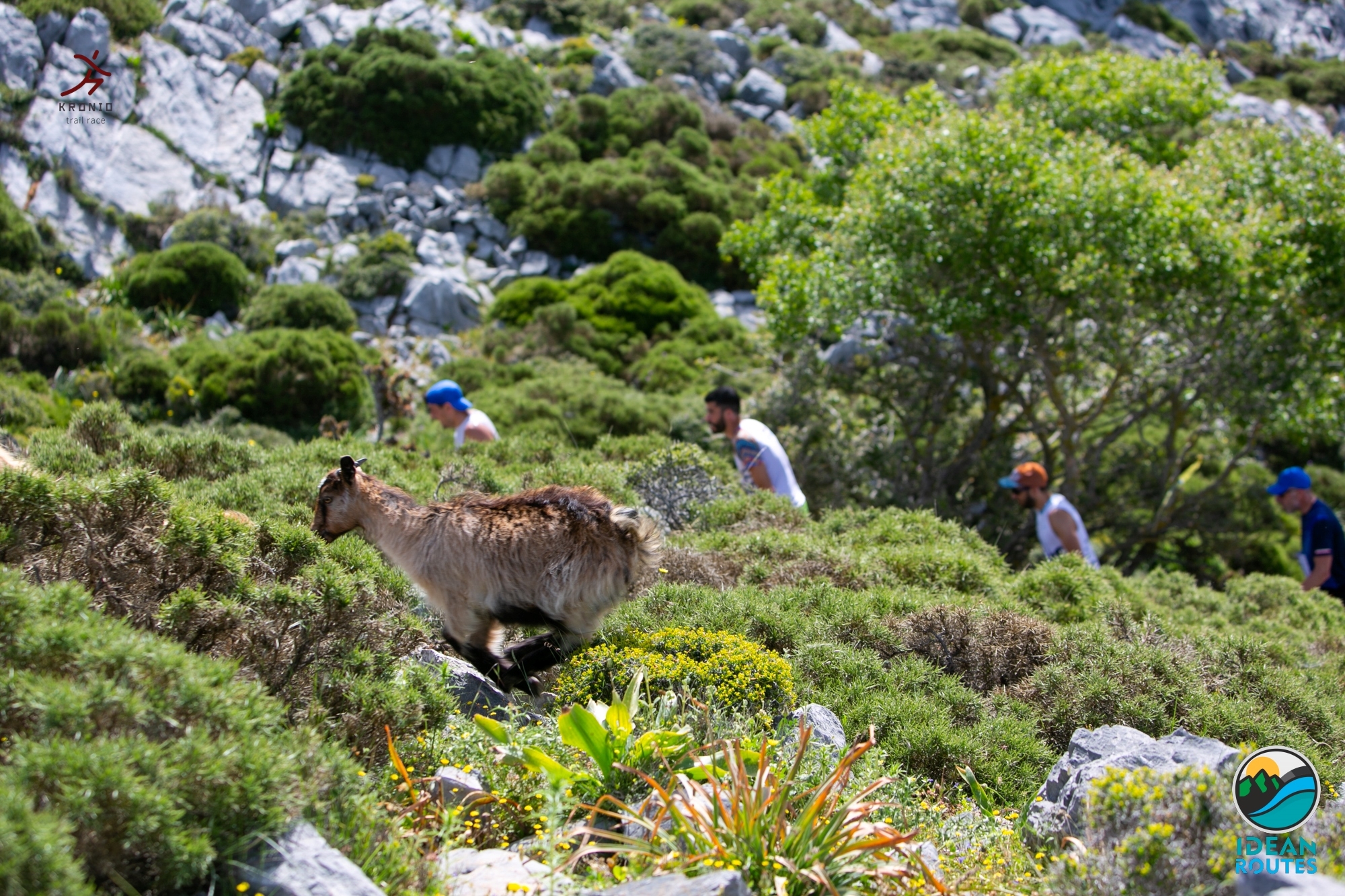 Kronio Trail 2025: Registrations are now open!