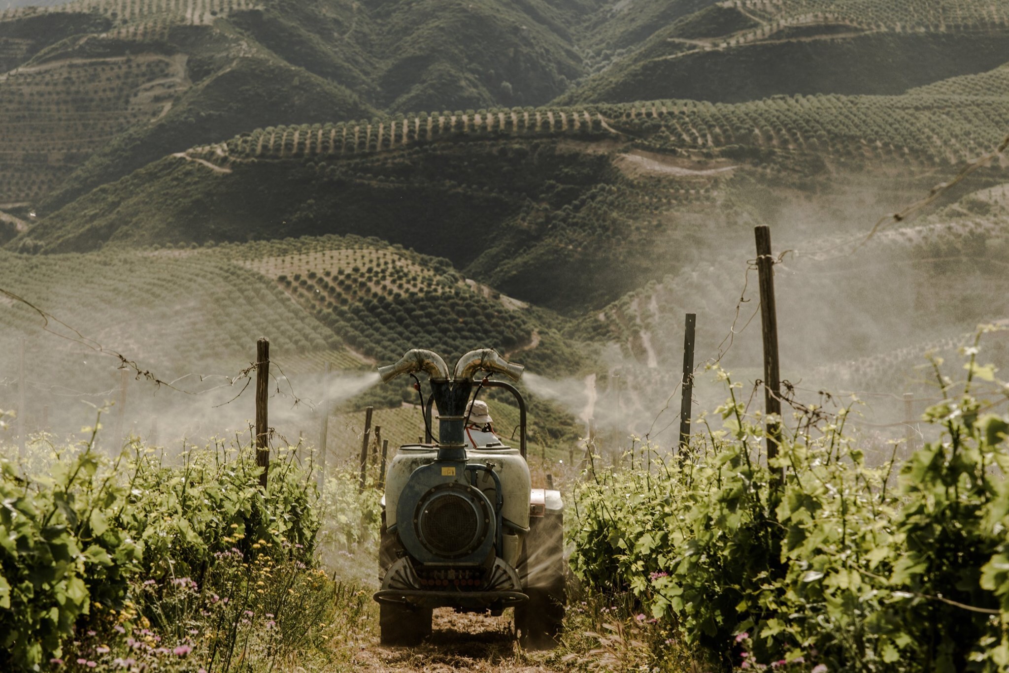 Wine Tours & Tastings at Manousakis Winery