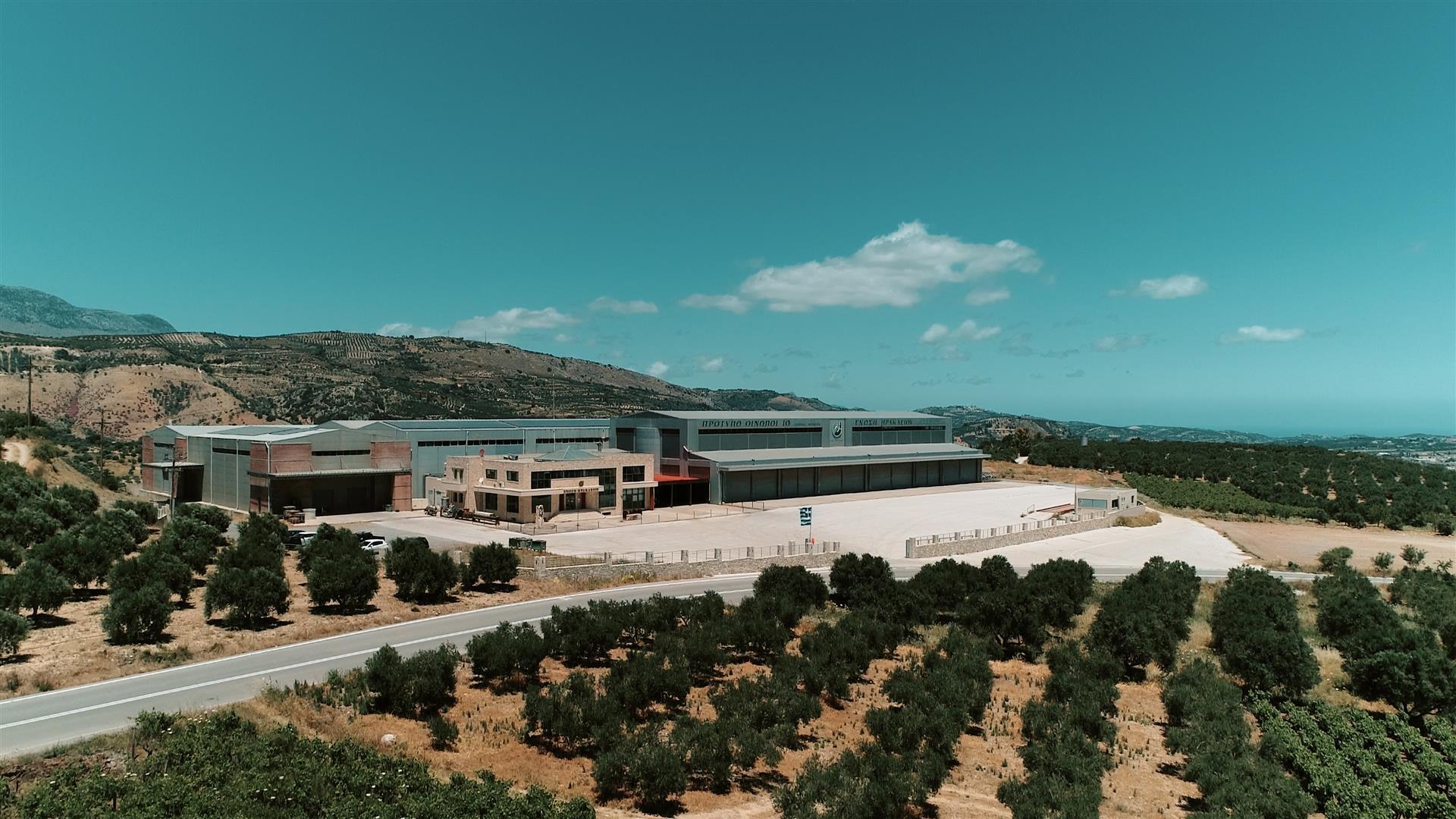 A Visit to the Winery of the Heraklion Agricultural Cooperative Union