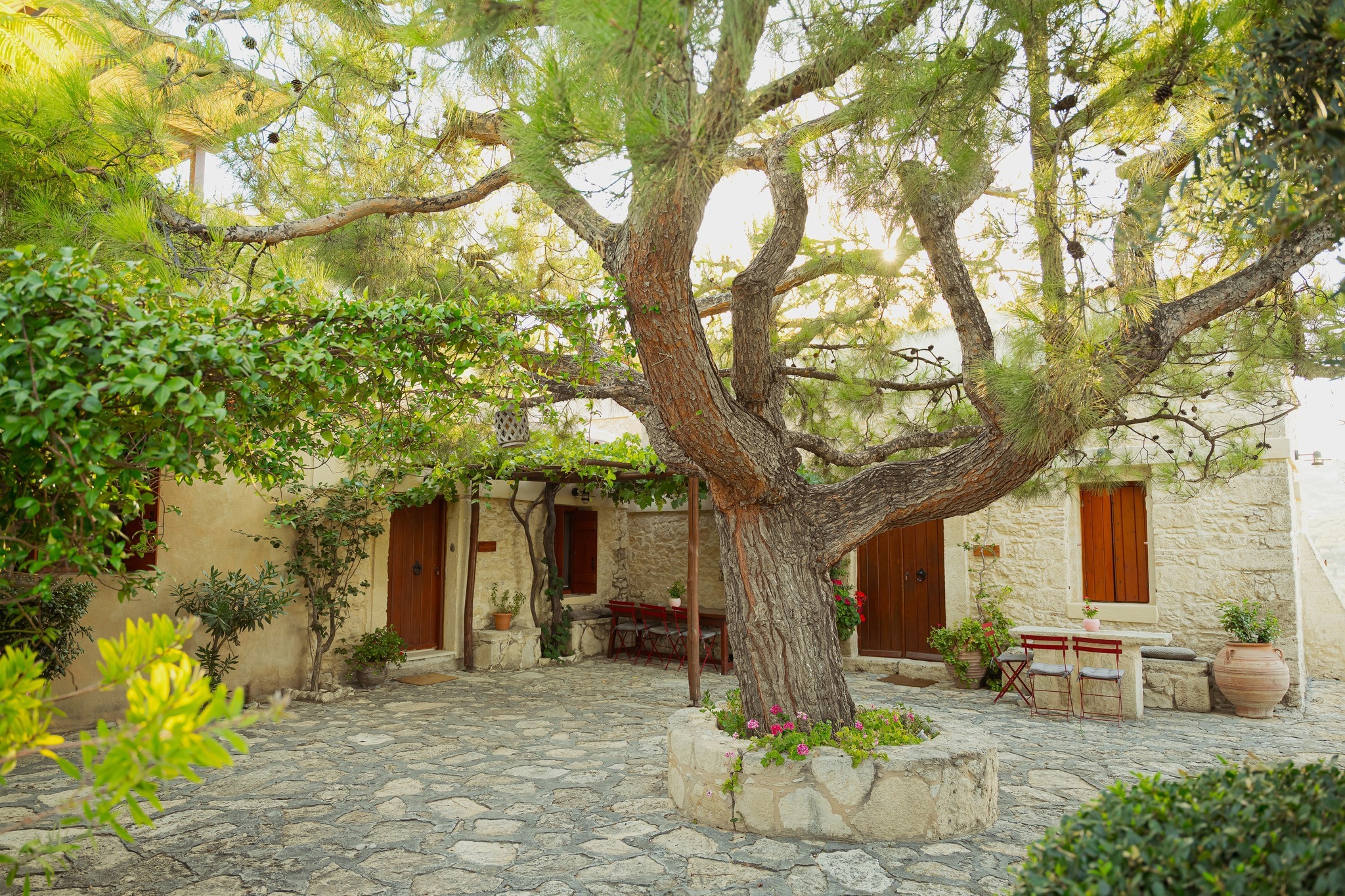 Wine Tasting at Skalarea Estate