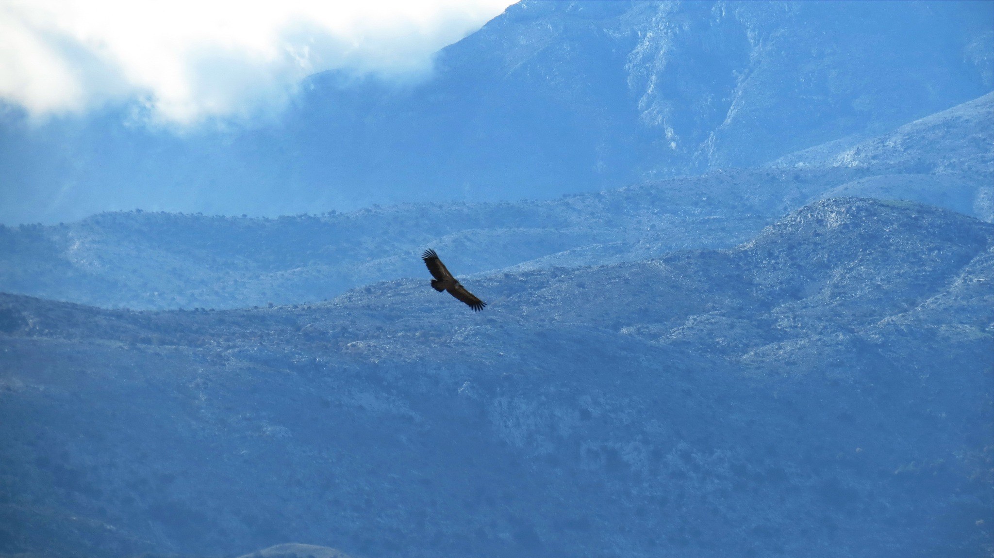 discover crete