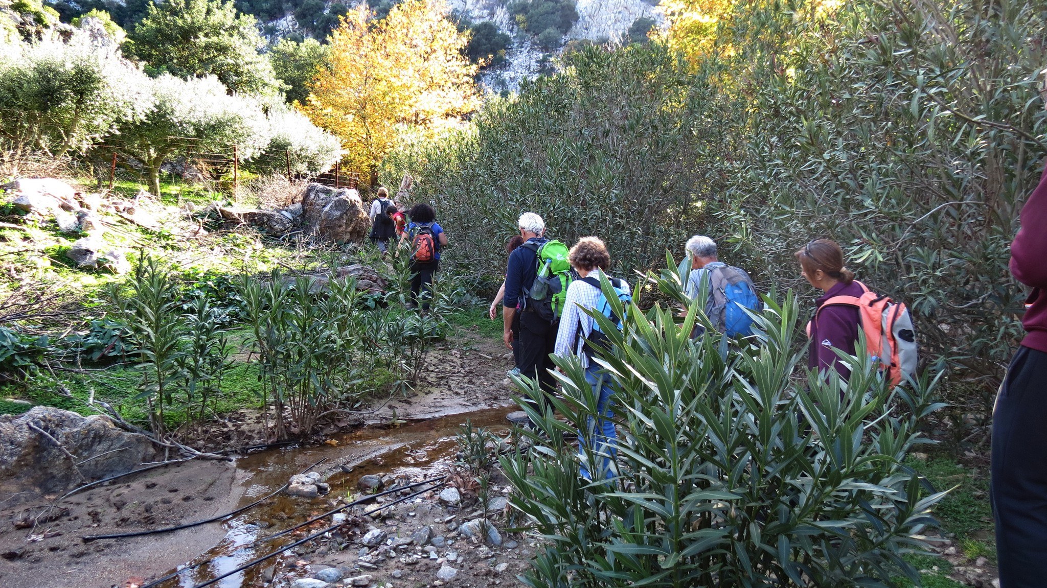 discover crete