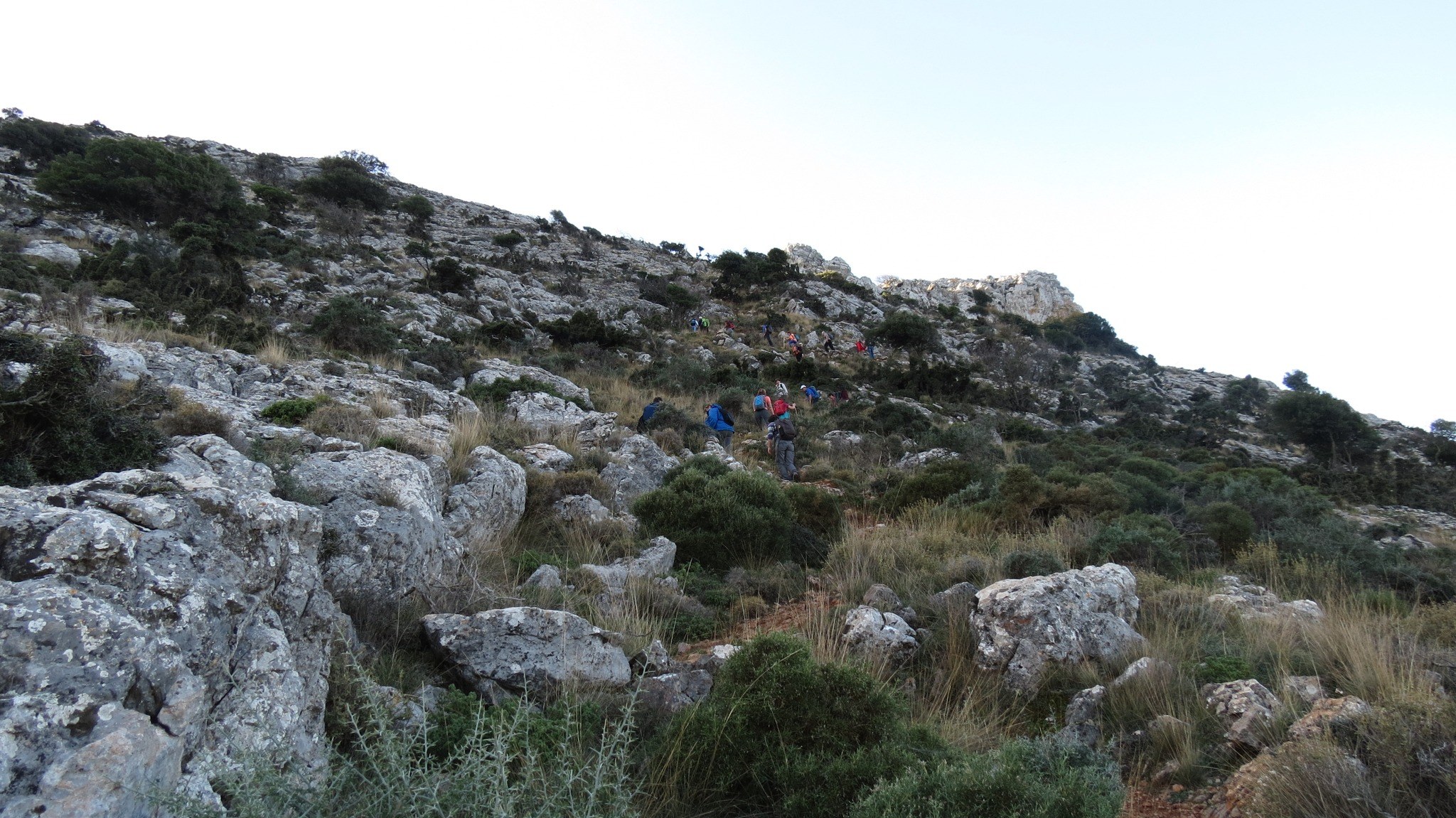 discover crete
