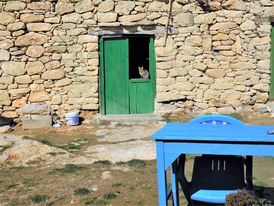 discover crete