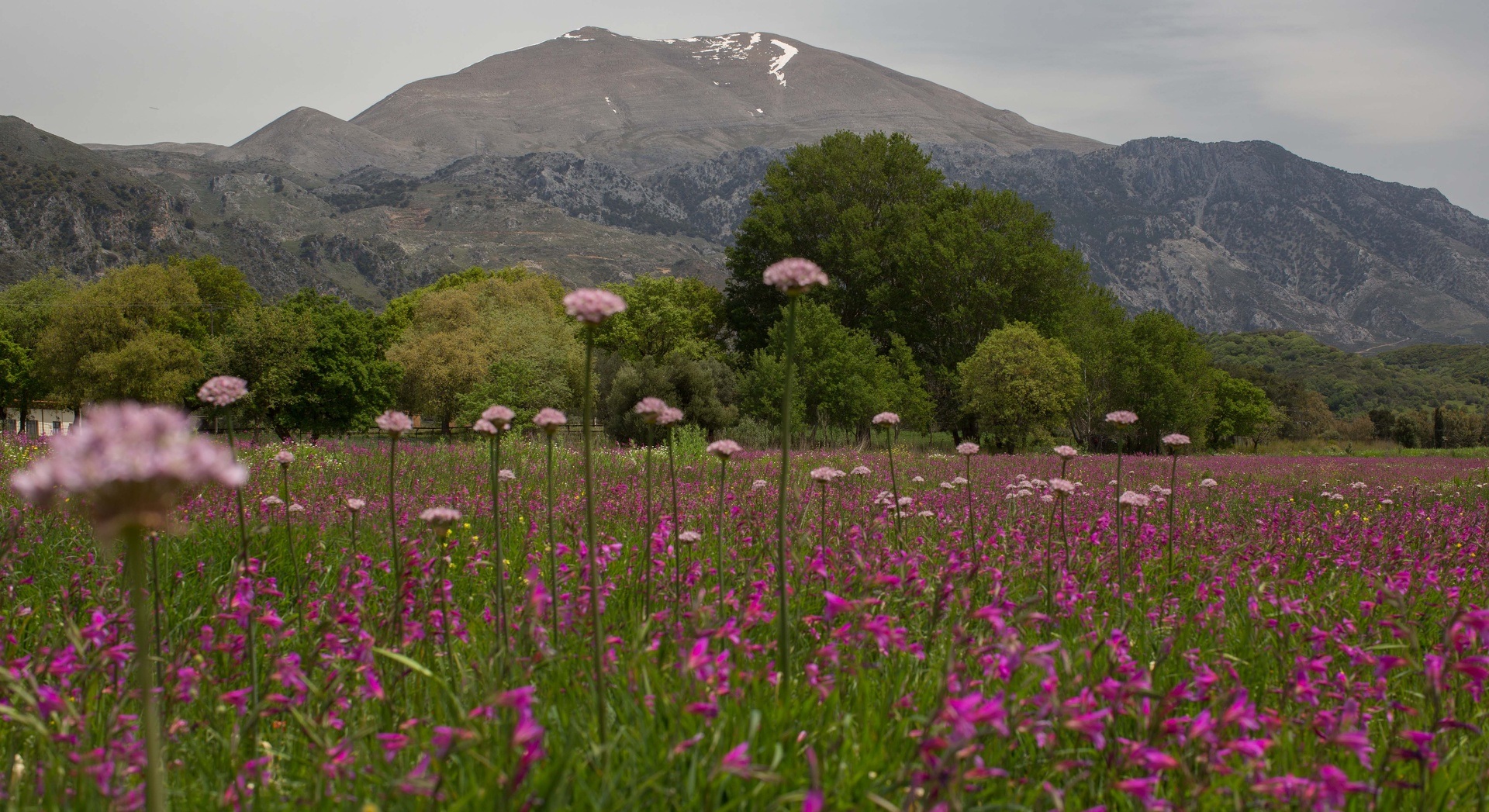 discover crete